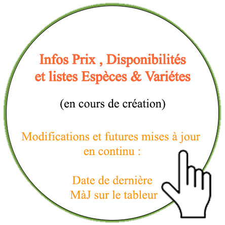 Texte alternatif